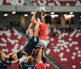 World Cup match analysis-钢铁防线浴火重生，德国战车重构防守剑指2026
